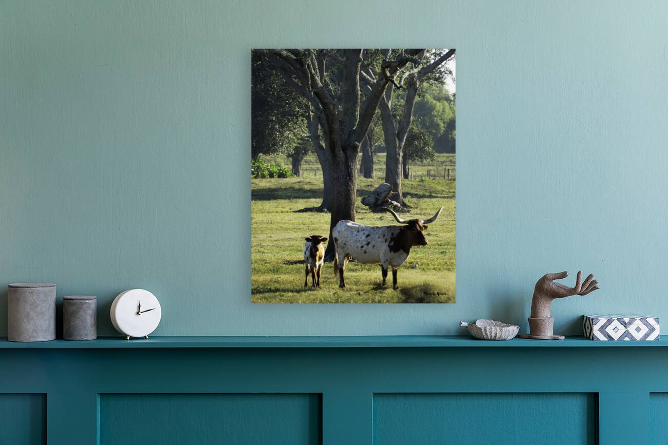 Mom and Calf Greet the Morning Reproduction