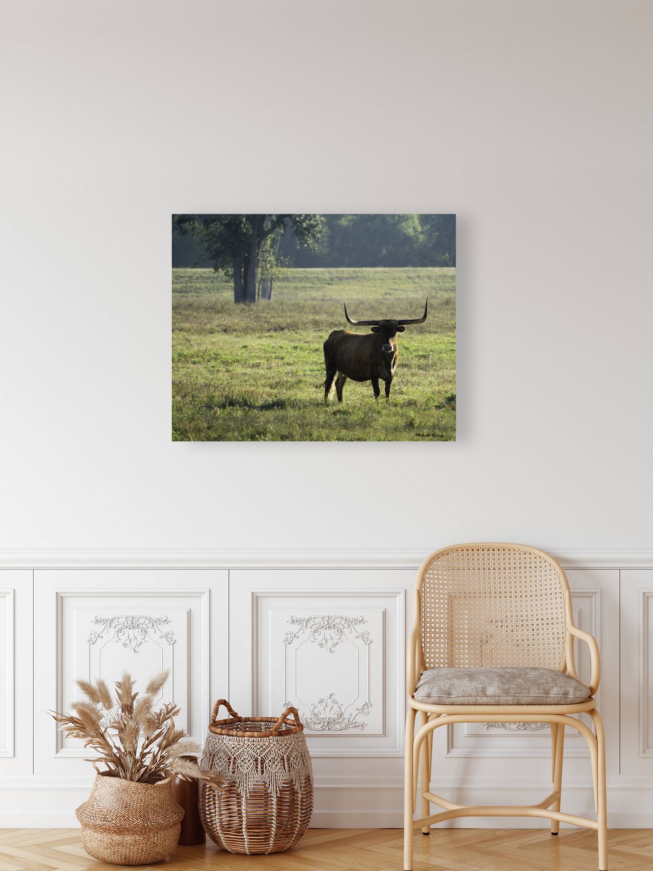 Long Horns Reproduction