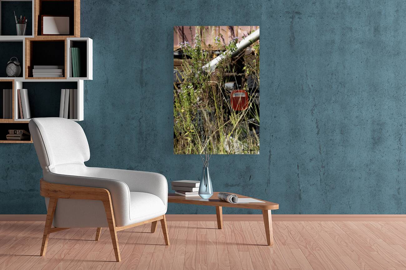 Flowers in the Junkyard Reproduction