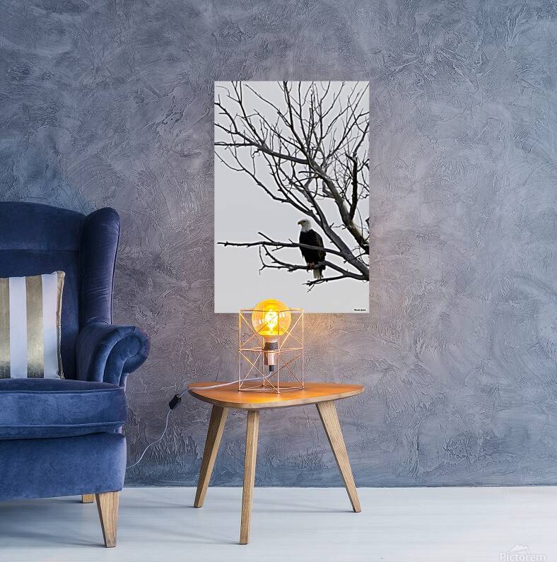 Eagle 5 Reproduction