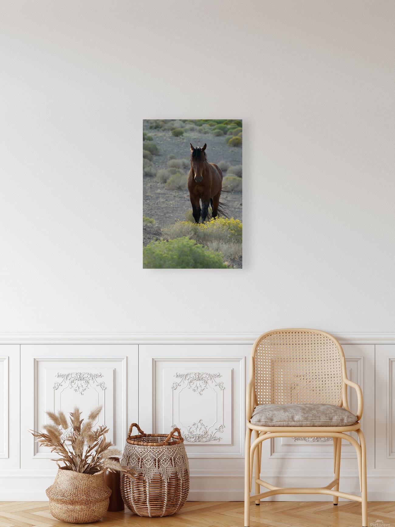 Wild Brown Horse Reproduction