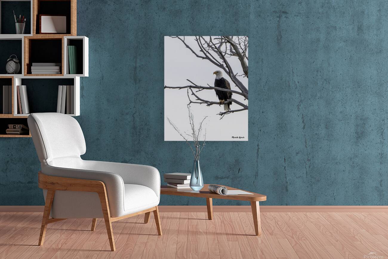 Eagle test Reproduction