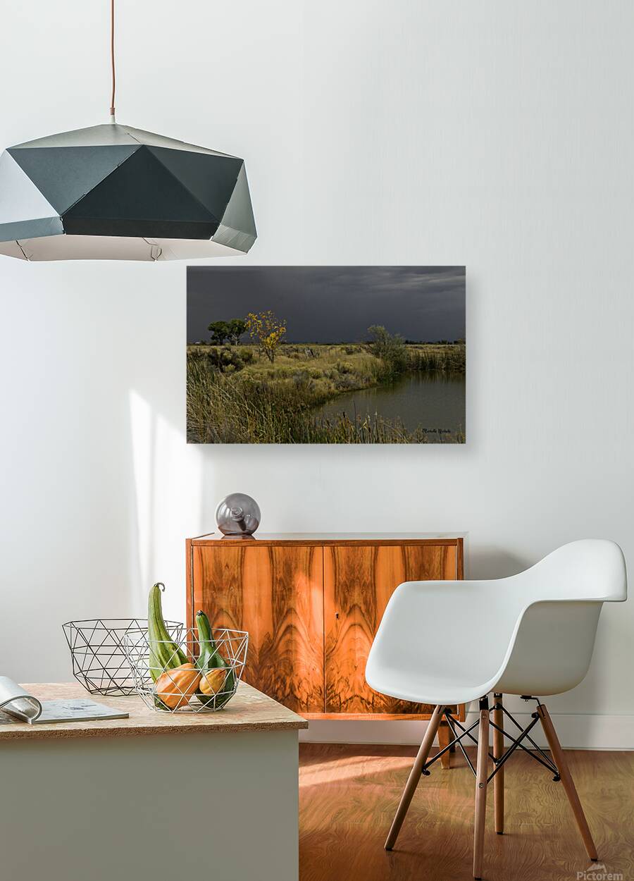 Stormy Field Reproduction