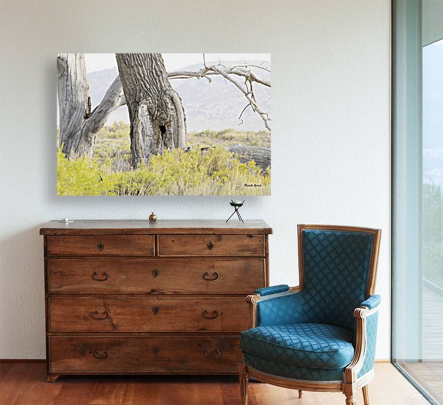 Tree Hole Reproduction