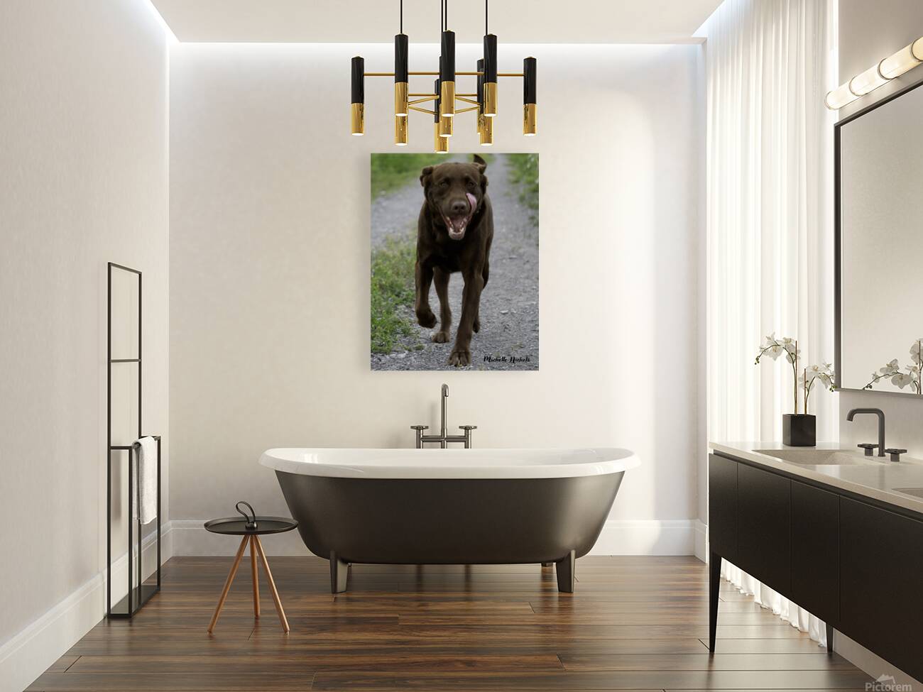 Shiner on the Run Reproduction