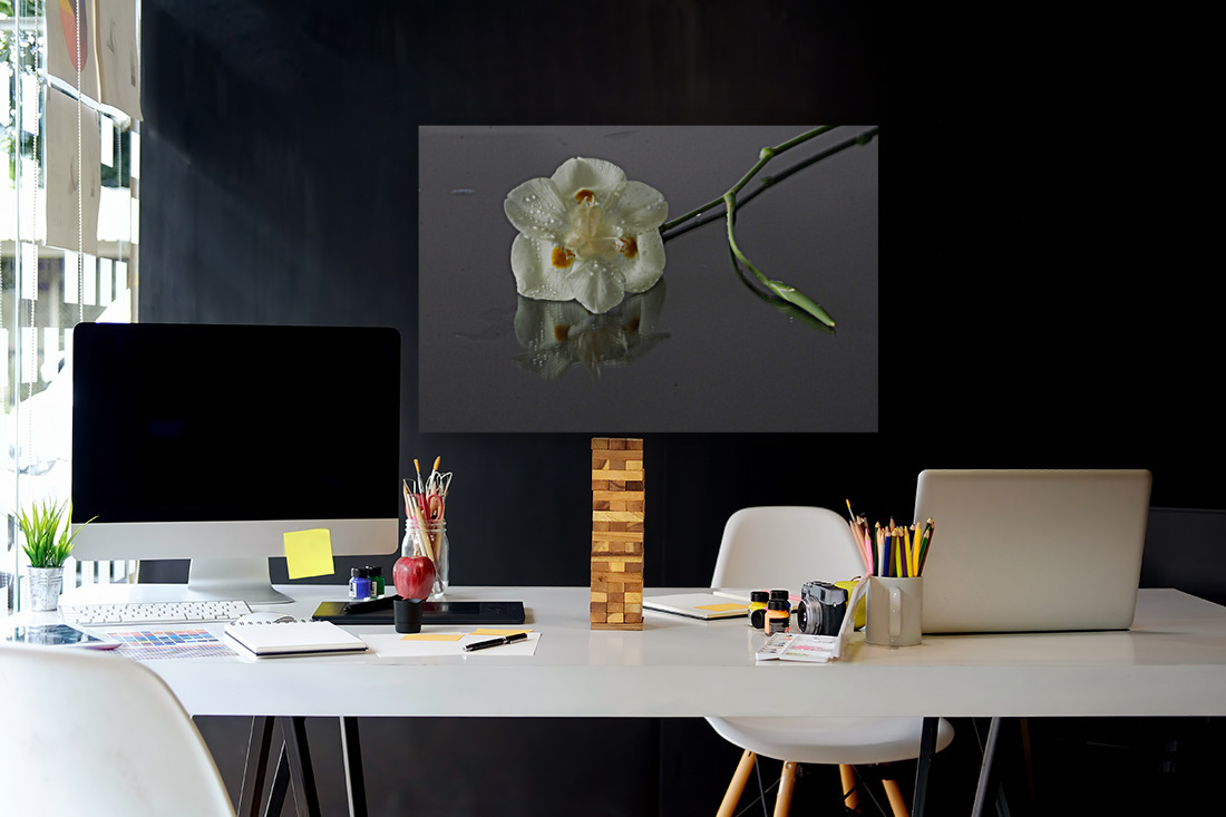 African Iris Reproduction