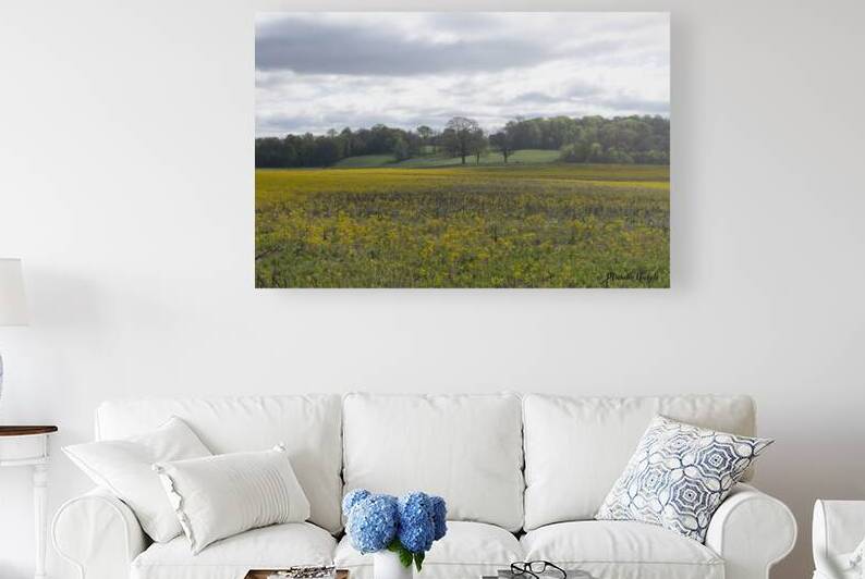 Keith Spring Mtn Valley by Michelle Nichols