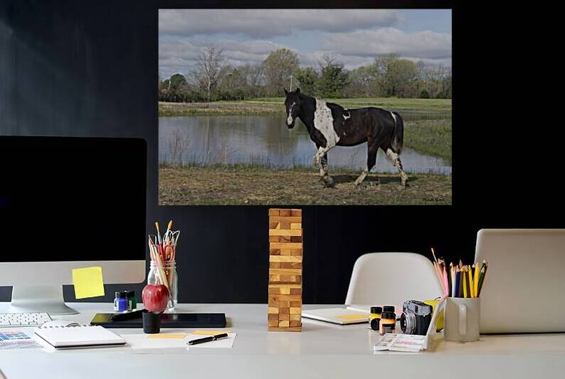 Horse by Michelle Nichols