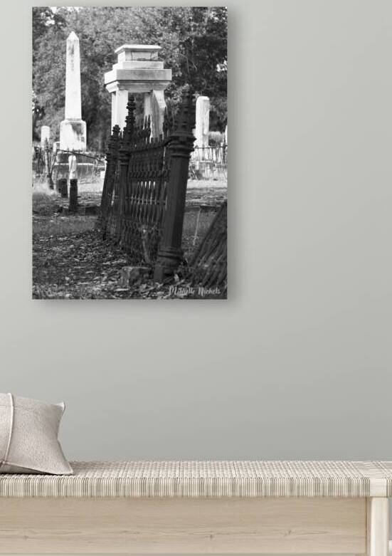 Cemetary BW Pass Chris by Michelle Nichols