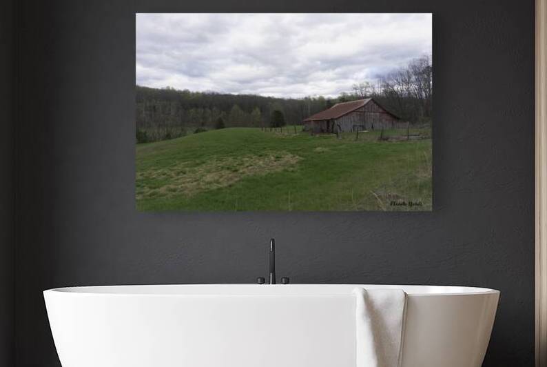 Lena Ln Barn by Michelle Nichols