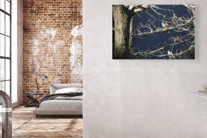 Two Little Birds by Michelle Nichols