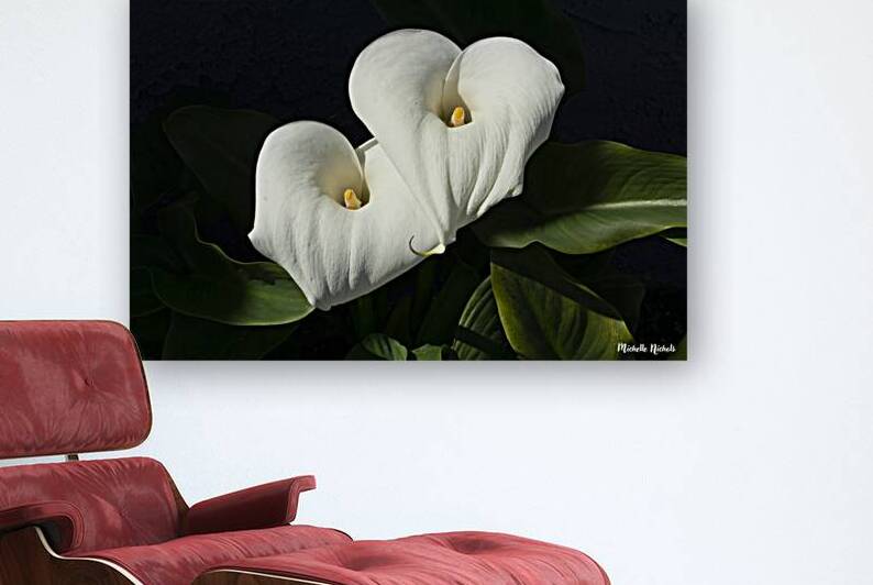 Calla Lilly by Michelle Nichols