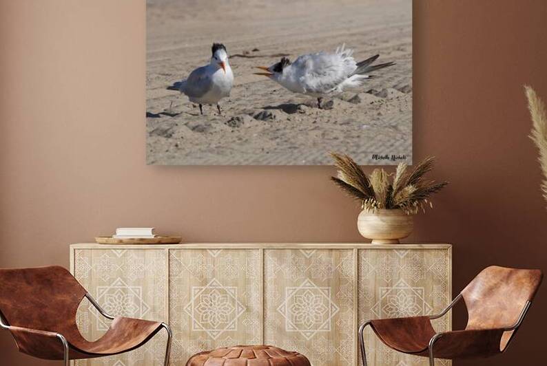 Seagull Couple by Michelle Nichols