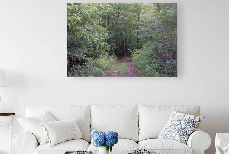 Forest Path by Michelle Nichols