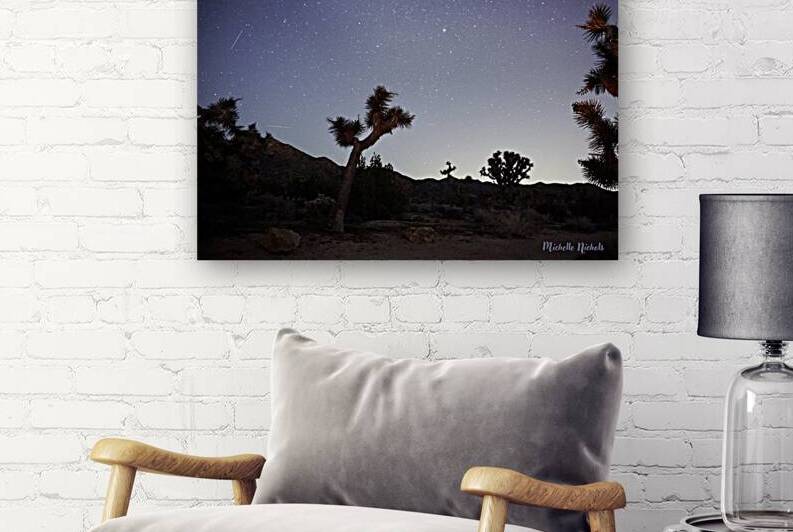 Joshua Tree National Park by Michelle Nichols