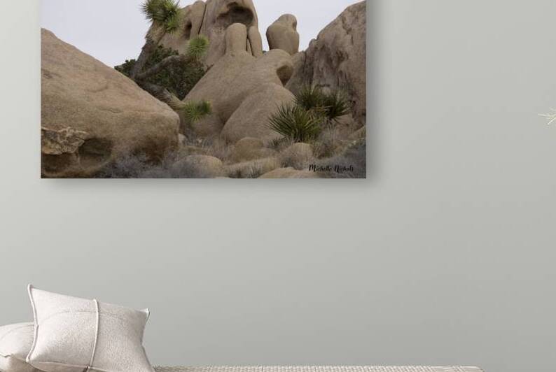 Joshua Tree Bolders by Michelle Nichols