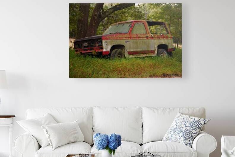 Old Bronco by Michelle Nichols