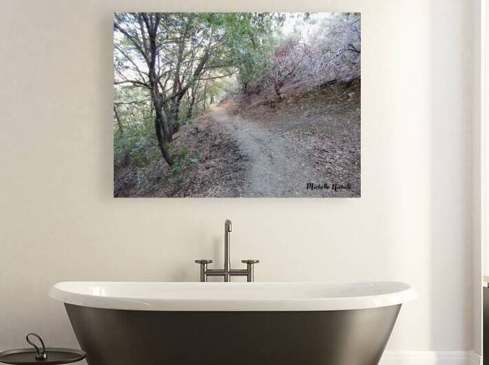 Mountain Trail by Michelle Nichols