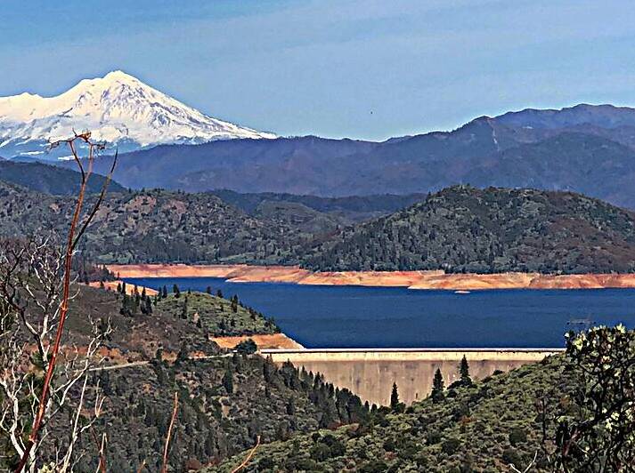Shasta Lake by Michelle Nichols