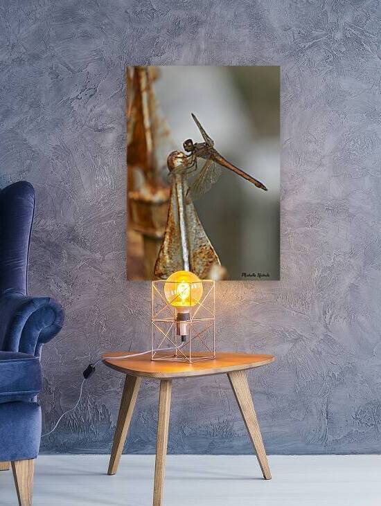 Rusty the Dragonfly by Michelle Nichols