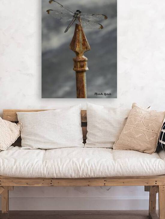 Azul the Dragonfly by Michelle Nichols