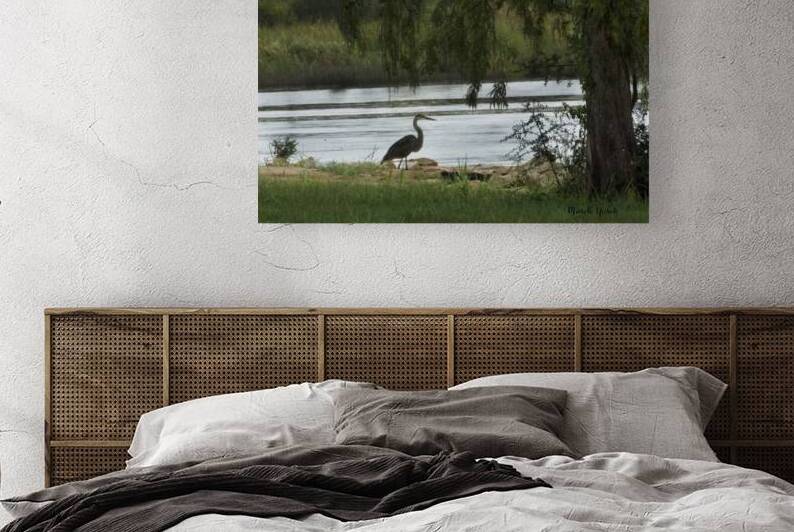 Bayou LaCroix by Michelle Nichols