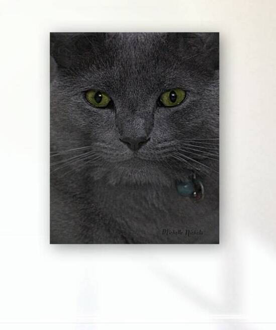 Green Eyed Fonzie by Michelle Nichols