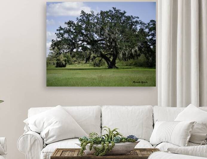 Big Old Tree by Michelle Nichols