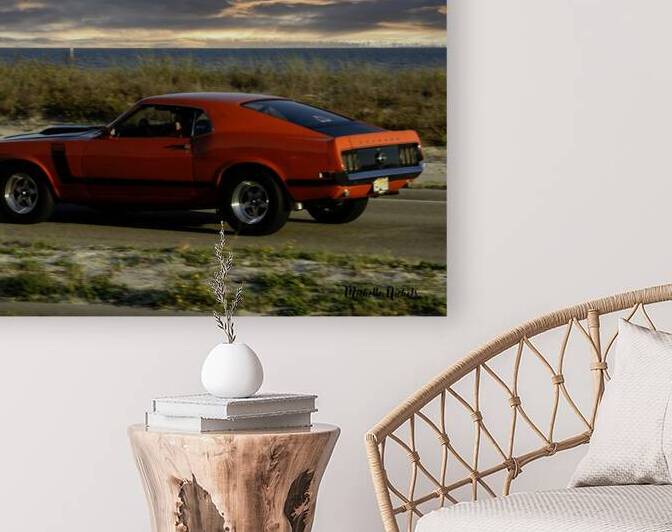 Red Mustang w Black Stripe Rear View by Michelle Nichols