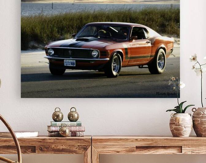 Red Mustang w Black Stripe by Michelle Nichols