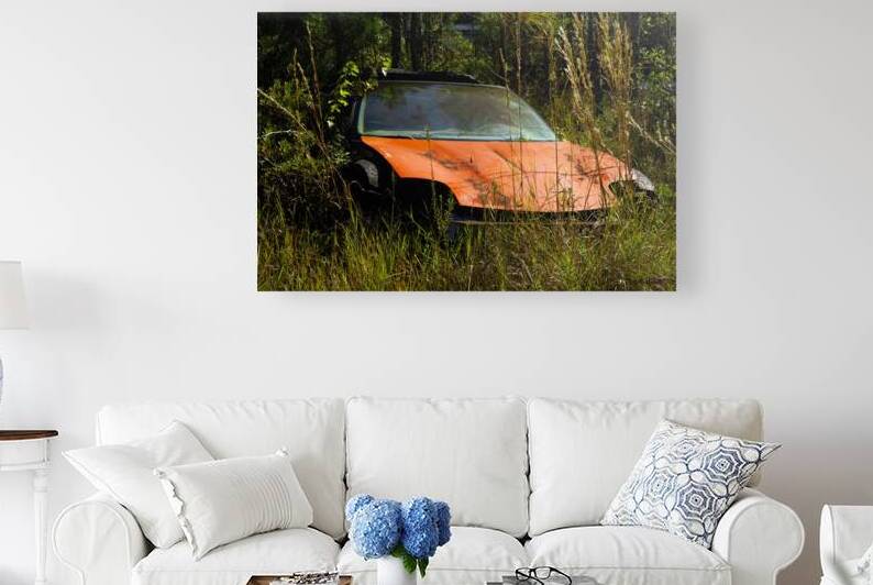 Where Is My Car by Michelle Nichols