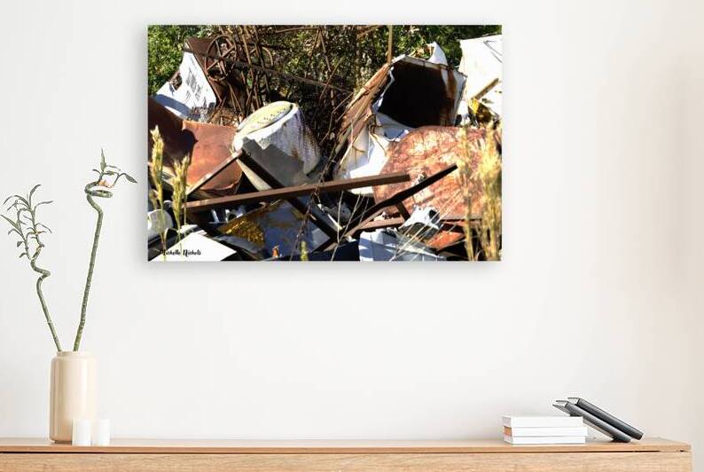 Junkyard Gold by Michelle Nichols