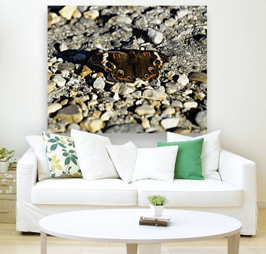 Wings of Autumn by Michelle Nichols