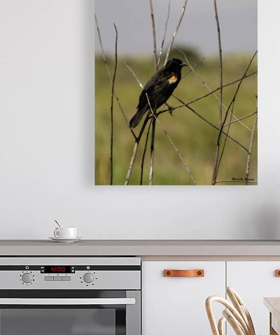 Red winged Blackbird by Michelle Nichols