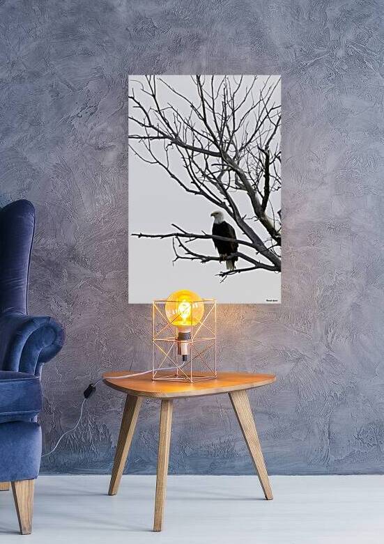 Eagle 5 by Michelle Nichols