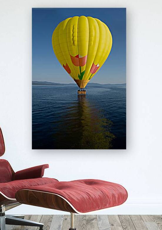 Splash and Dash by Michelle Nichols