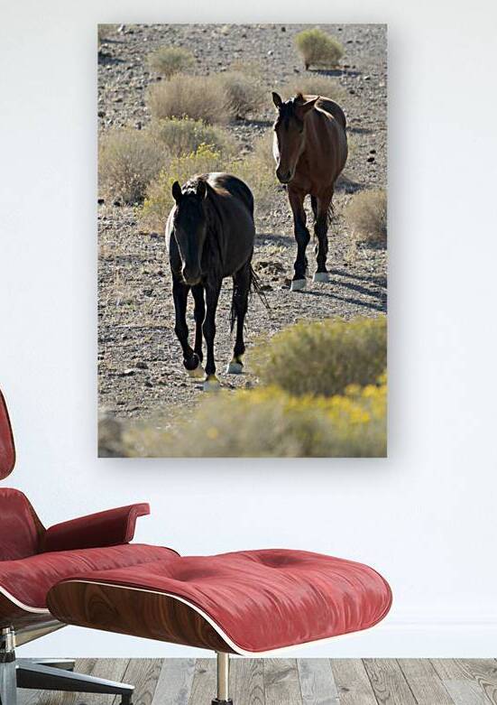 Wild Horses by Michelle Nichols