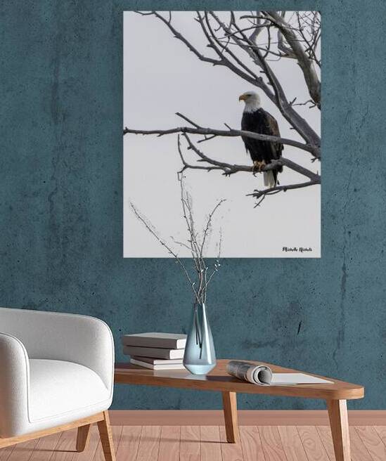 Eagle test by Michelle Nichols