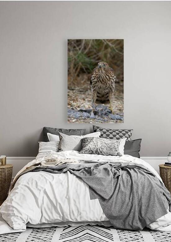 Hawky by Michelle Nichols