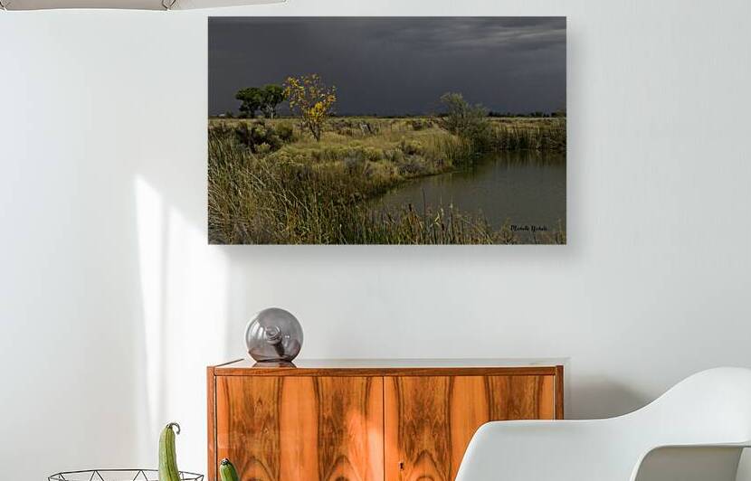 Stormy Field by Michelle Nichols