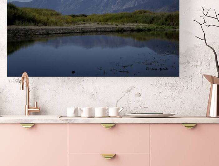 Carson River Bend by Michelle Nichols