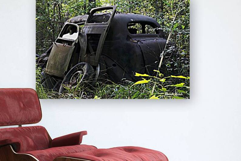 Jane and Dan s Treasure by Michelle Nichols