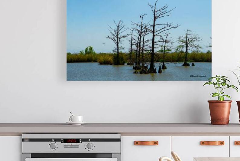 Venice LA by Michelle Nichols