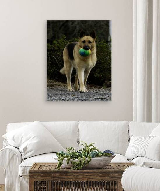 Lara Foster by Michelle Nichols