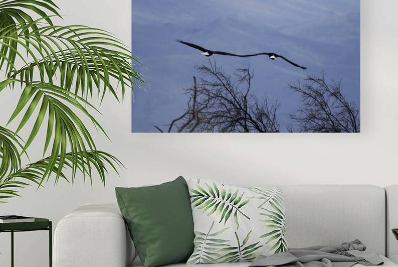 Lovers In Flight by Michelle Nichols