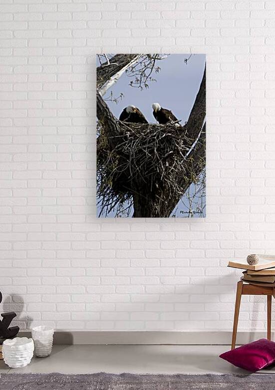 Eagle Couple by Michelle Nichols