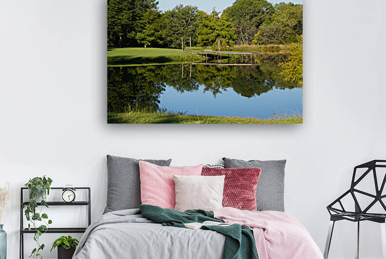 Pond Reflections by Michelle Nichols