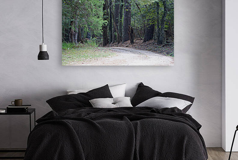 A Country Lane by Michelle Nichols