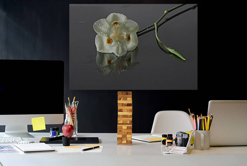 African Iris by Michelle Nichols