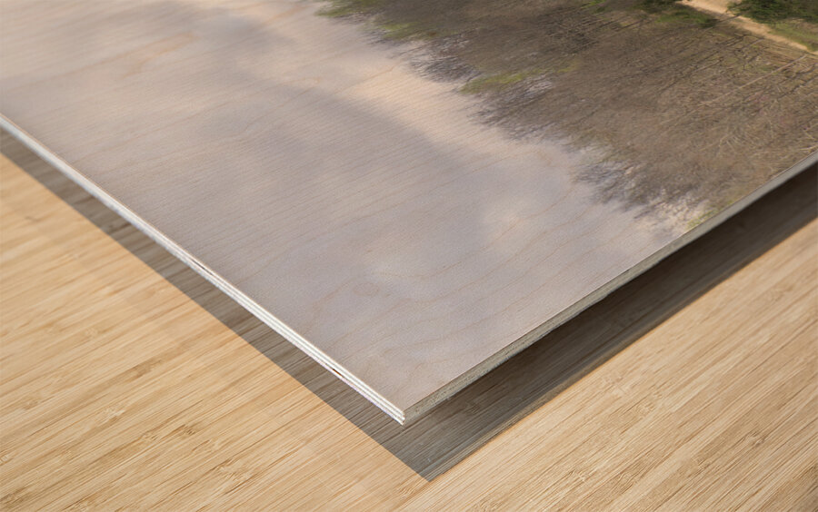 Wilkerson Hill Wood print